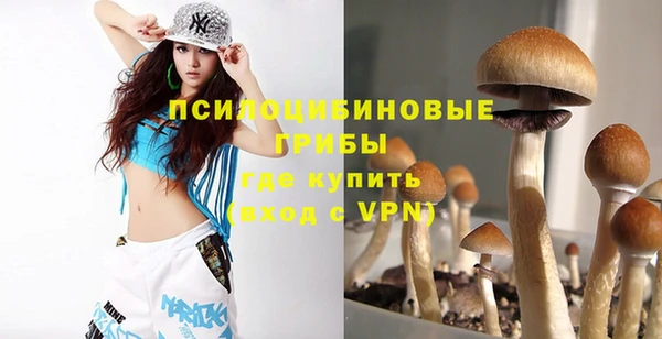 ALPHA PVP Арсеньев