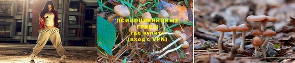 альфа пвп Пестово