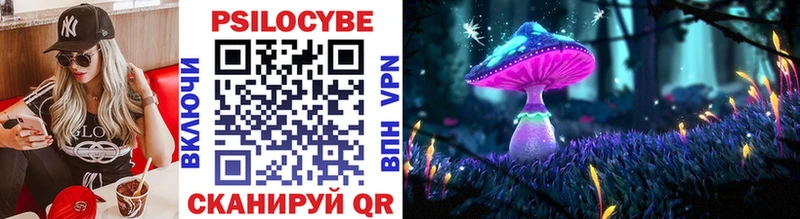Галлюциногенные грибы MAGIC MUSHROOMS  Новозыбков 